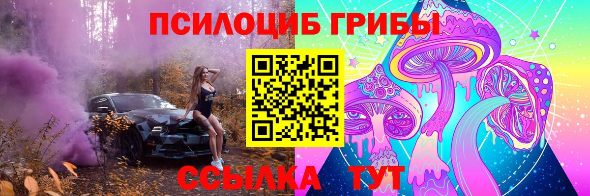 Псилоцибиновые грибы мухоморы Россия