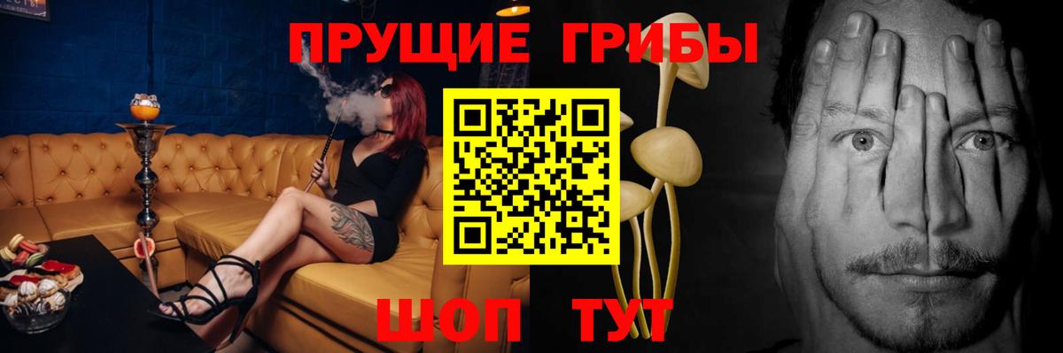 где можно купить наркотик  Вход с VPN  Россия  Галлюциногенные грибы Psilocybine cubensis 
